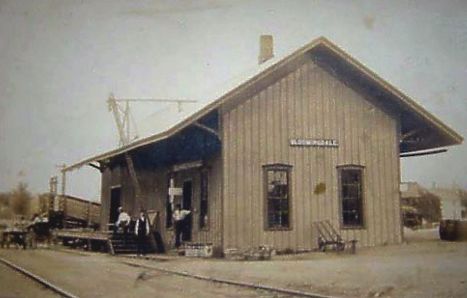 MC Bloomingdale MI Depot